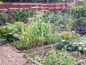 The Island – Horbury Bridge