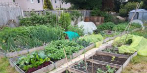 allotmentfunding